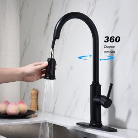 Pull-Out Sprinkler Kitchen Faucet – Matte Black Single Handle