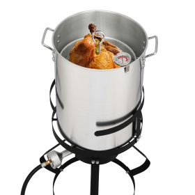 30QT Turkey Pot 10QT Fish Pot Gas Fryer (4 Pcs)