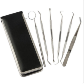 Dentist Tool Set With Dental Mirror (Stainless Steel) (Option: 6pcs set)